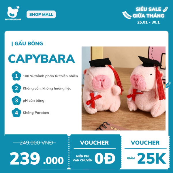 Gấu bông Capybara tốt nghiệp SweetBearShop 14cm - M01 - Hình ảnh 3